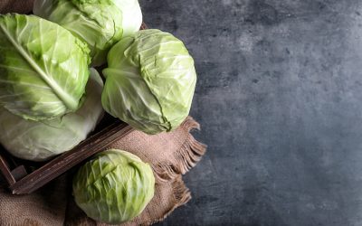 Is Cabbage Good for Diabetics? Let's Find Out