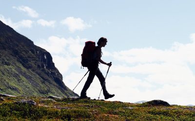 The Best Hiking Poles to Bring on Your Next Outdoor Adventure