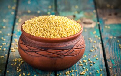 Millets – Types, Benefits, Recipes & Weight Loss – HealthifyMe