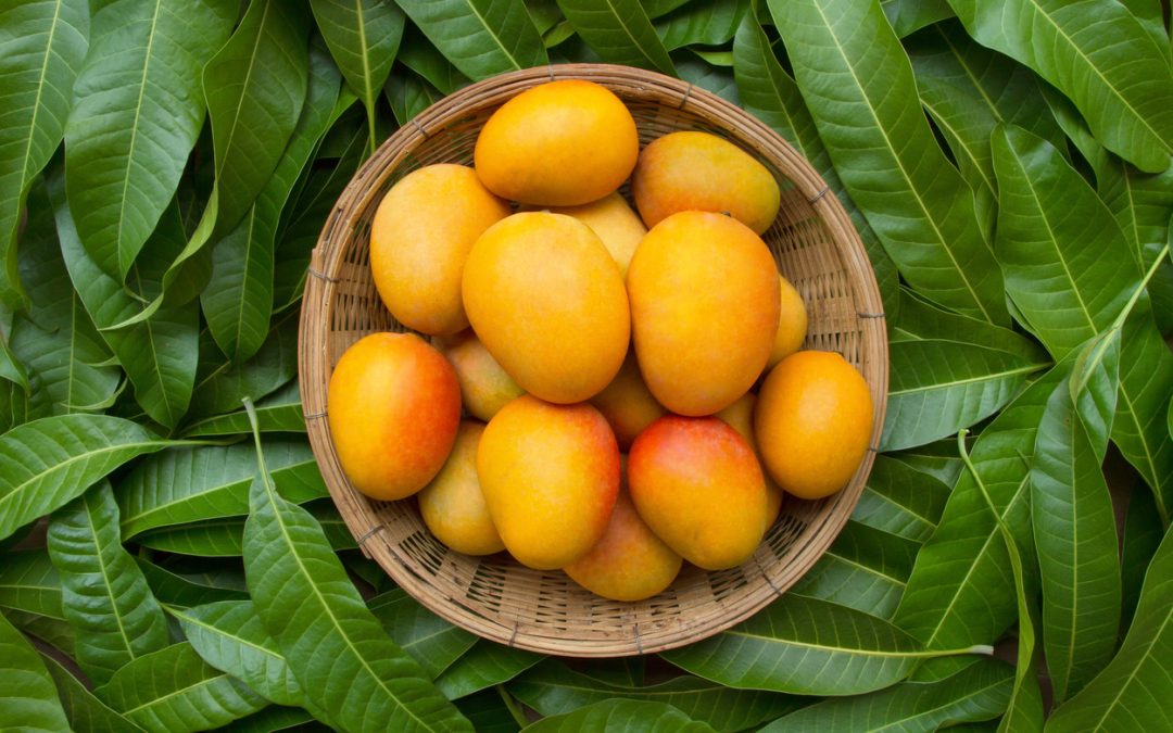 Is Mango Good For Weight Loss? Debunking Common Misconceptions – Blog – HealthifyMe