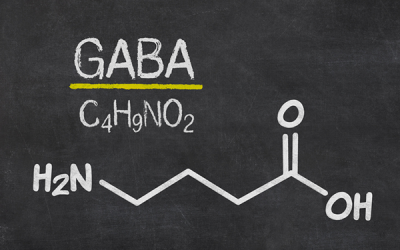 Everything You Need to Know About GABA