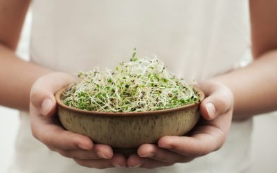 Are Sprouts Useful For Weight Loss?- HealthifyMe