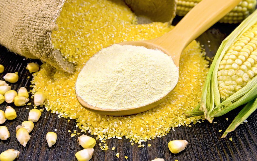 Corn Flour: Benefits, Precautions And More : HealthifyMe