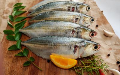 Indian Mackerel: A Guide On The Indigenous Fish: HealthifyMe