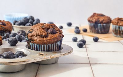 Blueberry Muffins