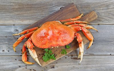 Crabs: Spreading Tentacles Towards Good Health: HealthifyMe