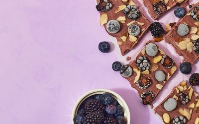 Triple Berry Fro-Yo Bark