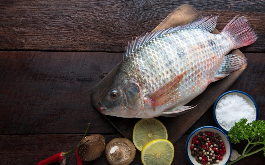 tilapia-nutritional-benefits,-health-benefits-healthifyme