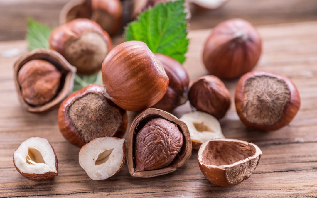 hazelnuts:-reasons-to-add-crunch-to-your-life:-healthifyme
