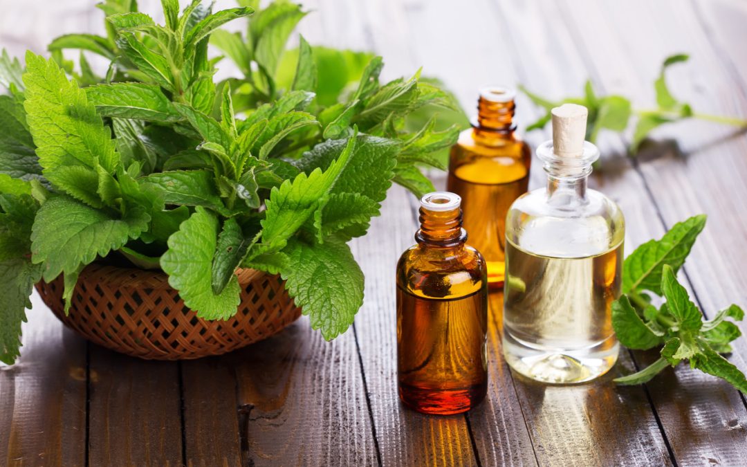 Peppermint: Benefits, Culinary Uses And More: HealthifyMe