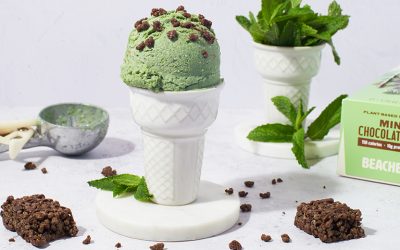 Mint Chocolate Chip Nice Cream