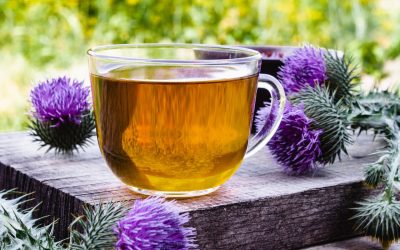 Benefits Of Milk Thistle- HealthifyMe