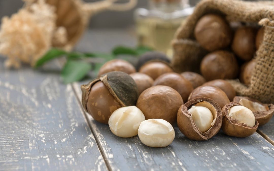 Macadamia Nuts: An All-In-One Guide: HealthifyMe