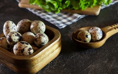 Quail Eggs: Nutritional Profile, Benefits- HealthifyMe