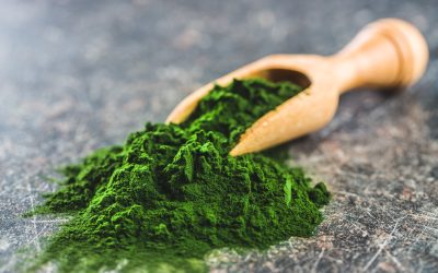 Chlorella- HealthifyMe