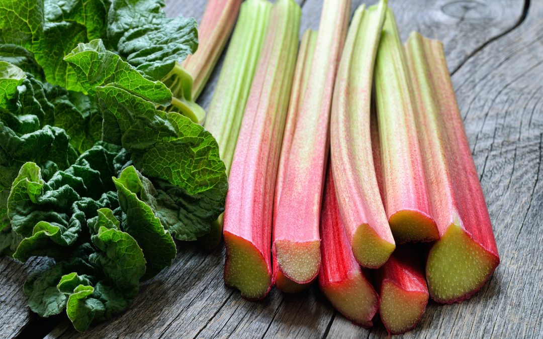 rhubarb-a-versatile-and-delicious-plant-healthifyme