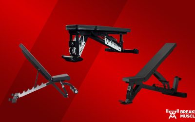 The 9 Best Weight Benches for Your Home Gym (2023) | Breaking Muscle