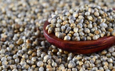 Harnessing Health Benefits Of Bajra- HealthifyMe