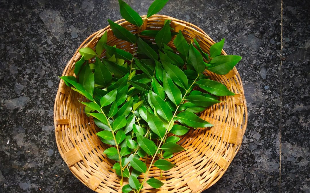 Curry Leaves Benefits: What One Needs To Know: HealthifyMe