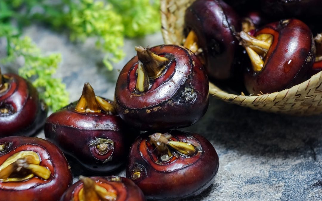 The Untold Benefits Of Water Chestnuts: HealthifyMe