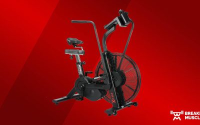 Assault Fitness AssaultBike Pro X Review (2023)