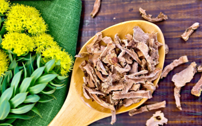 Is a Rhodiola Supplement All You Need to Fight Off Stress?